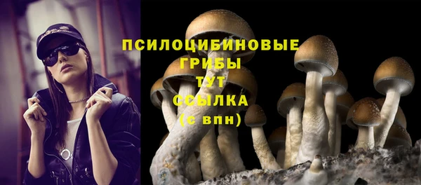 МДПВ Баксан