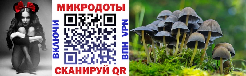 Псилоцибиновые грибы Cubensis KRAKEN ССЫЛКА Пойковский наркота